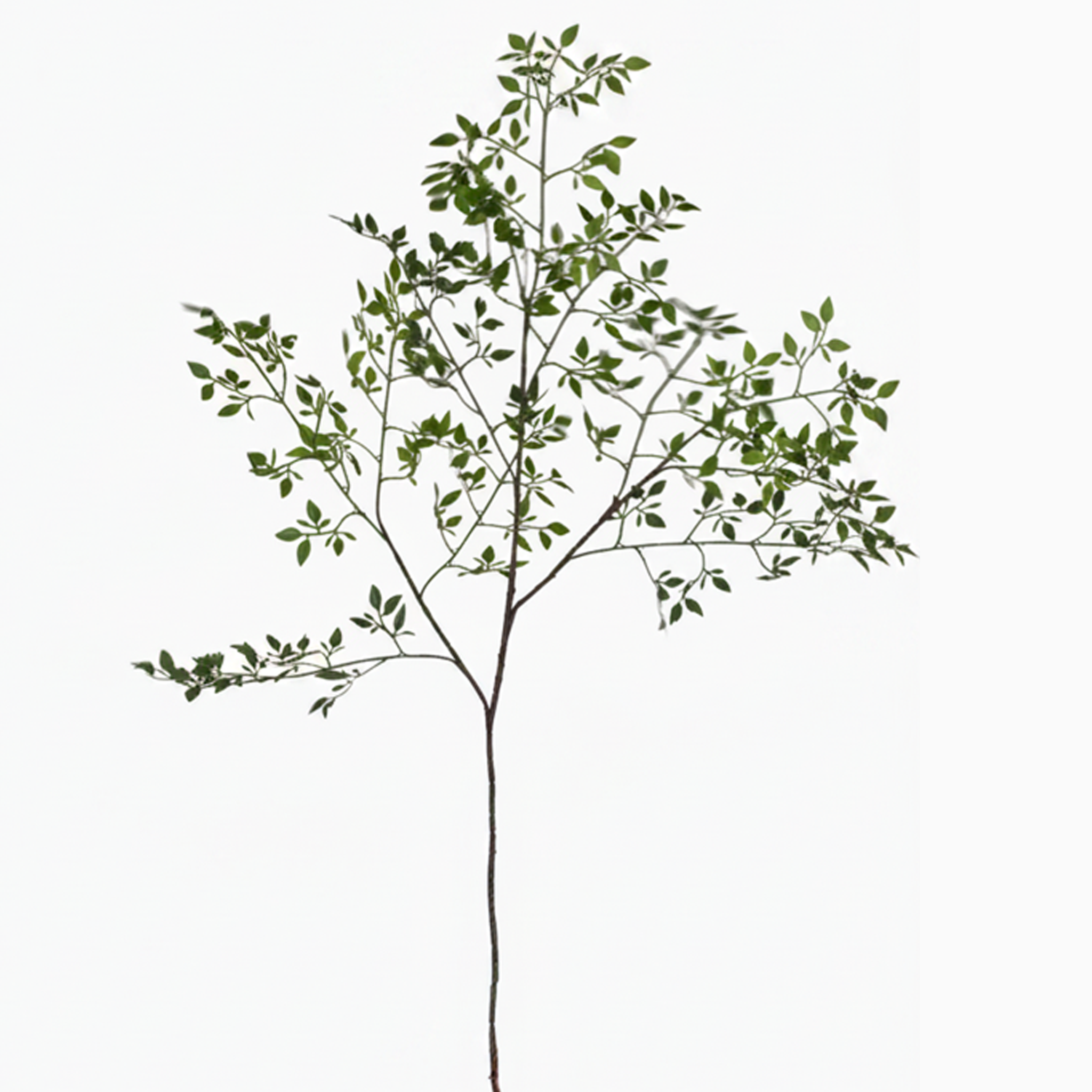 Faux Nandina Branch Stem